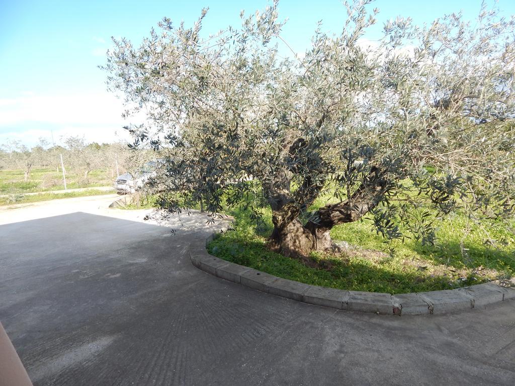 Residenza Rosa Maria Country House Orosei Zimmer foto